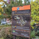 늠내길 1코스 숲길 | [걷기 좋은 길] 시흥늠내길 1코스