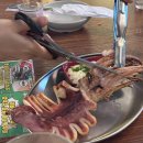 날개펴닭 이미지