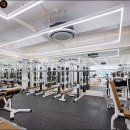 바디가드 짐 이미지