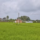 원두천 1 티스토리