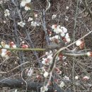 분토마을회관 이미지