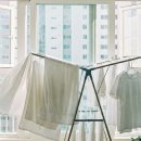 세탁의정석 이미지