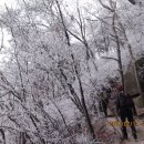 개굴개굴 이미지