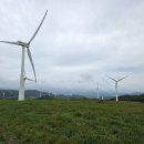 제225차 정기산행(선자령, 250621) 이미지