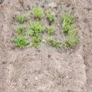 응수농장 이미지