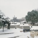 융건릉공영주차장 | [화성 가볼만한곳 겨울] 폭설 내린 융건릉 설경 후기｜산책 코스·주차·입장료 총정리