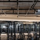 빽짐헬스 이미지