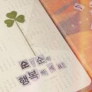 미미주 | 2026년 새해 첫 일상 가져왔습니다 ~!