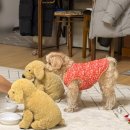 더죤스파24시사우나 이미지