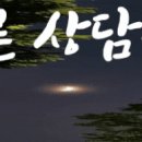 D00235 네이버블로그