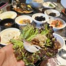 다채 | 용산 동빙고동 맛집 '다채' | 인생 고등어구이 쌈밥 정식 오픈런 후기 (위치, 주차, 영업시간)