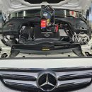 한스게러지 이미지