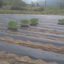 준홍농장 이미지