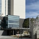 스카이가든 레지던스 | 강릉 신라모노그램 레지던스 오션뷰 후기(내돈내산)