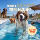 나라약국 이미지