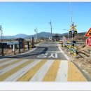 대일2농장 이미지