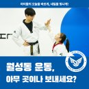 서린2태권도장 이미지