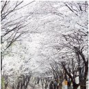 마중리 마을회관 이미지