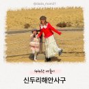 해무 | 아이와 태안 사막 체험 신두리해안사구 + 해무 풍경 후기
