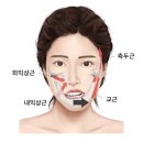 미다스한의원 네이버블로그