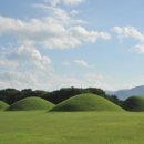 대릉원 Daum카페