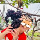 문산중앙유치원 이미지