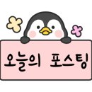 에스에스오