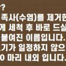 신우수산 네이버블로그
