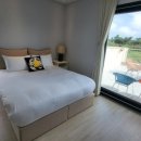 플랜트101 이미지