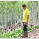 정기나무골 이미지