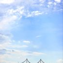 탑정호 출렁다리와 동굴 법당에서 ~~^^ 이미지