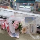 2024 총결산 3월에 쓰는 한 해 모아보기