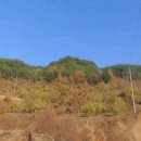 구례공인중개사사무소 이미지