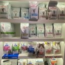 봄날동물의료센터 이미지