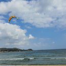 세파에 따르지    이미지