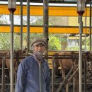 한우왕 축산 이미지