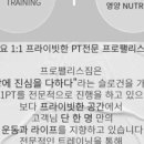 프로피티 이미지