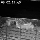 말무리염소농장 이미지