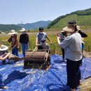 두레영농조합법인 이미지