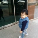 마린슐레 이미지