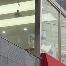 푸드까페 연산SK뷰점 이미지