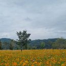 호국농장 이미지