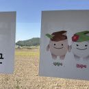 한자보건진료소 네이버블로그