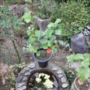 생수건강원 이미지