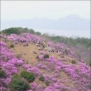 개화2리마을회관 이미지