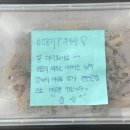 버스정류장 07-482 | 수원 경매1계 2023 타경 9404 [아파트]
