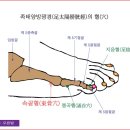(주)경맥 이미지