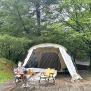 한기농장 | 캠핑 초보 추천 괴산 코오롱 스포츠 캠핑파크 후기
