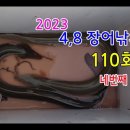 13년만에 마릿수 입질(영상) 이미지