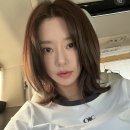 숩틸 이미지